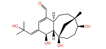 Floridicin B